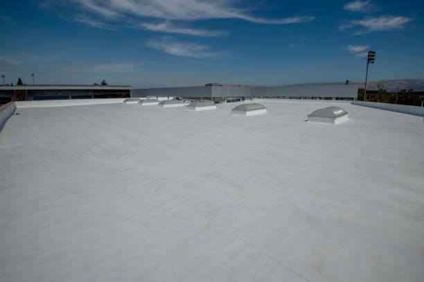 Best Sheet Metal Roofing  in Framingham, MA